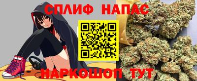 гидра Гусев