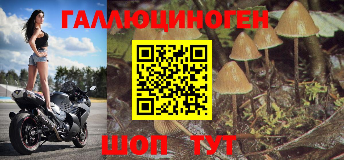 Галлюциногенные грибы ЛСД  Вход с VPN  Менделеевск 